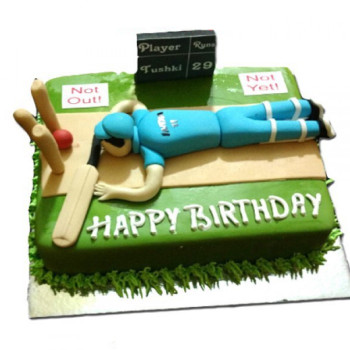 Cricket Themed Cake