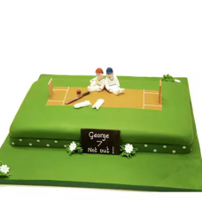 Customized Cricket Pitch Cake