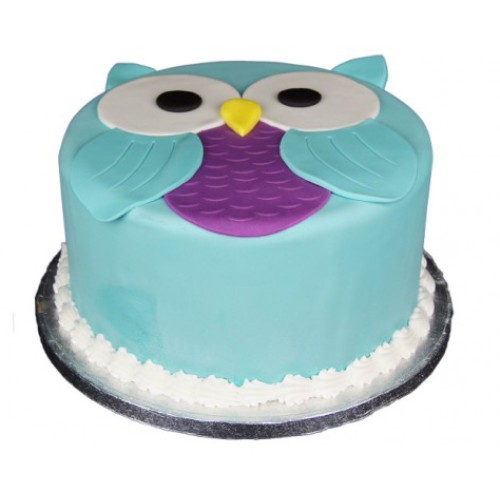 Owl Fondant Cake Delivery in Greater Noida