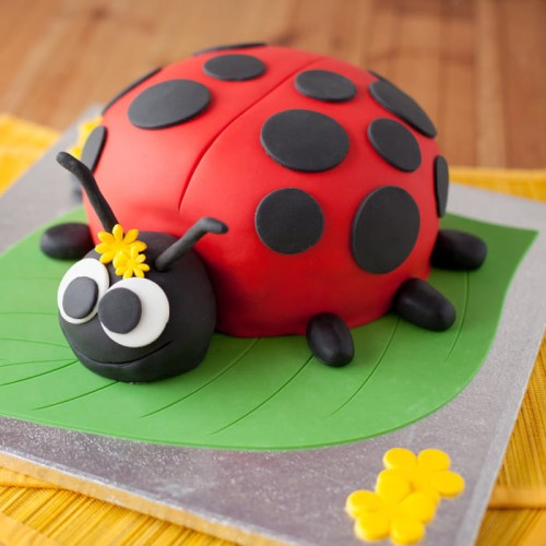 Ladybird Bug Fondant Cake Delivery in Greater Noida