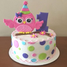 Owl Theme First Birthday Cake