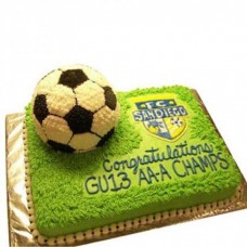Soccer Theme Cream Cake