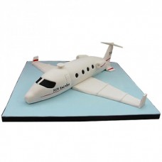 White Airplane Fondant Cake