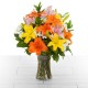 Buy Flowers Home Online in Greater Noida and Noida Extension From Cake Express - page 7