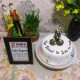 Standing Dick Fondant Cake