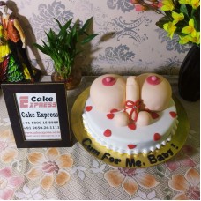 Penis and Boob Naughty Cake