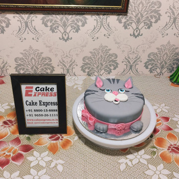 Pussy Cat Face Fondant Cake