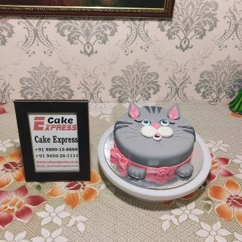 Pussy Cat Face Fondant Cake