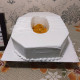Toilet Sheet Shaped Cake Delivery in Greater Noida