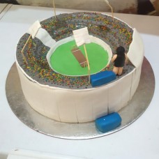 Cricket Ground Theme Cake
