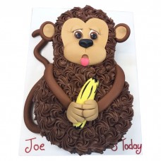 Smaller Party Monkey Cake